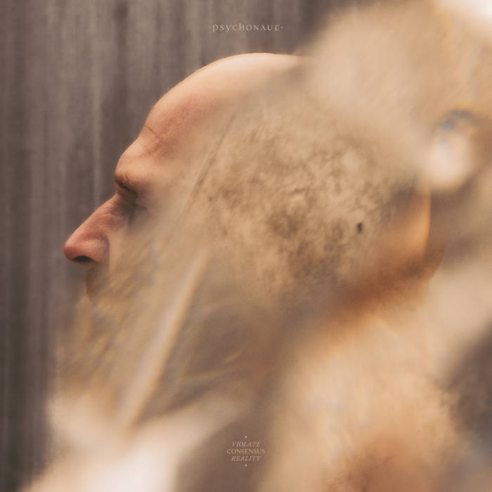 Psychonaut - Violate Consensus Reality album cover